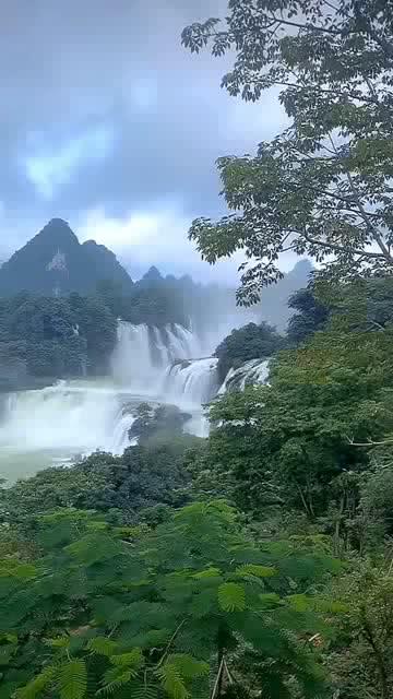 解疑答问,尽在